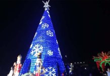 ¡Este miércoles Arroyo Seco enciende su espíritu navideño contigo! No te lo pierdas