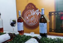 FOTOGALERÍA | ¡Celebra y encuentros! Xönthe se revela como una vendimia con alma en Colón