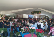 Festival de las rosas, todo un éxito en El Órganal, SJR