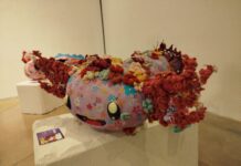 Creajolote, una mirada a la juventud actual, se expone en Pinal de Amoles