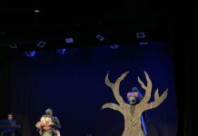 Presentan “Yiyo y el Zopilote”, función de teatro gratuita para niños este domingo