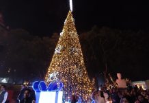 Llega la magia a Corregidora con el encendido de su árbol navideño