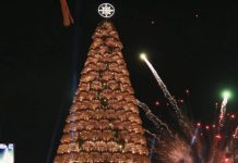 Tequisquiapan enaltece su legado artesanal con un Árbol Navideño decorado con carrizo, ¿Ya lo conocías?