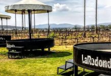 Viñedos La Redonda anuncia cierre indefinido por reparaciones urgentes