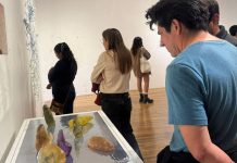 Inaugura SECULT la primera temporada de exposiciones de Galería Libertad