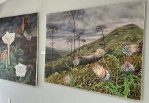 Museo Comunitario de Pinal de Amoles abre sus puertas al artista neerlandés Jasper de Gelder