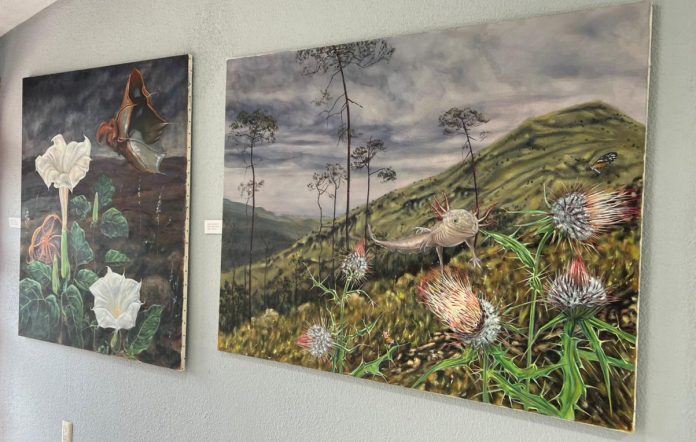 71_273_50364_570713596_21_01_26_Amoles4