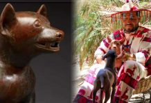 ¡Un espacio detenido en el tiempo! Este es el primer santuario en Querétaro dedicado a proteger al Xoloitzcuintle