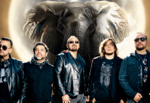 ¿Estás preparado? Falta solo un día para el regreso de Elefante que enamorará a Querétaro