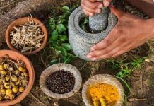 San Juan del Río invita al IV Congreso de Medicina Tradicional y Ancestral