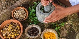 San Juan del Río invita al IV Congreso de Medicina Tradicional y Ancestral
