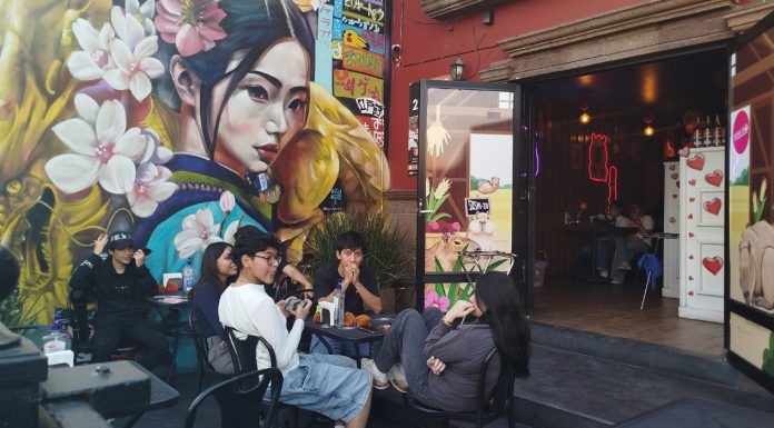 ¡Ni un solo Therian! El estigma social aniquila el esperado primer encuentro en Querétaro