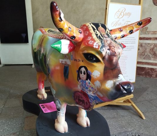 El color de Corregidora y el Buey invade el CEART ¿De qué se trata? Aquí te contamos