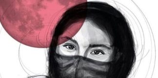 No te pierdas la proyección de “Un zorro bajo una luna rosa” este domingo