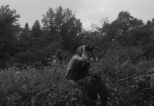 Este martes sé testigo del estreno nacional de “Siempre” en la Antigua Estación de Hércules