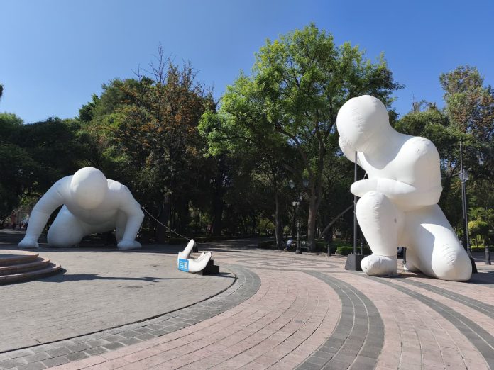 WhatsApp Image 2026-03-31 at 10.31.50 AM