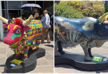 Exposición “Buey de Arte y Tradición” llega a la explanada de Rectoría de la UAQ