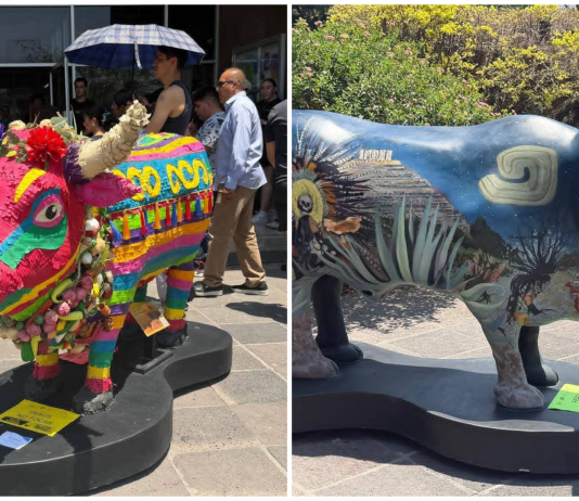 Exposición “Buey de Arte y Tradición” llega a la explanada de Rectoría de la UAQ