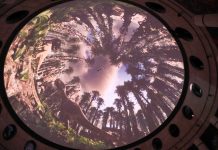 ¿Sabías que hay Dinosaurios en el Planetario de Querétaro? No te lo pierdas y ve a visitarlos