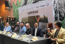 ¿Te animas a entrar a un laberinto gigante de maíz? Entonces Campirino en Huimilpan es para ti