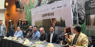 ¿Te animas a entrar a un laberinto gigante de maíz? Entonces Campirino en Huimilpan es para ti