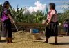 Proyectarán este miércoles y jueves el premiado documental mexicano “Li Cham”