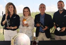 No te pierdas de la Vendimia «Blanco y Tinto» 2026 de Puerta del Lobo, aquí te contamos cuándo y dónde será