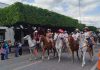 EN VIDEO | Realizan la tradicional Cabalgata de la Amistad para festejar el 495 Aniversario de SJR