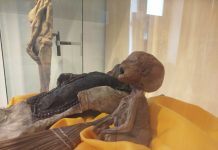 Exposición de las Momias de Guanajuato ofrecerá una conferencia en el Mercado Artesanal