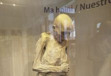 FOTOGALERÍA | Con inteligencia artificial y tecnología 3D, recrean rostros de las Momias de Guanajuato en Querétaro