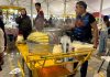 Celebran con éxito el Festival del Elote y el Esquite 2026 en Querétaro