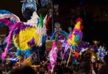 Todo listo para El Tradicional Gallo en La Cañada: Conoce los horarios y el recorrido aquí