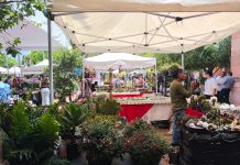 FOTOGALERÍA | Experiencia Ambiental del Semidesierto Queretano llega al CEART con un encuentro educativo y cultural