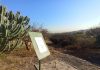 “Exploradores, biodiversidad Tolteca” el curso de verano que no puedes perderte en la Zona Arqueológica El Cerrito