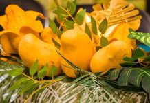¡Mucho sabor y tradición! Todo listo para el Festival del Mango en Arroyo Seco