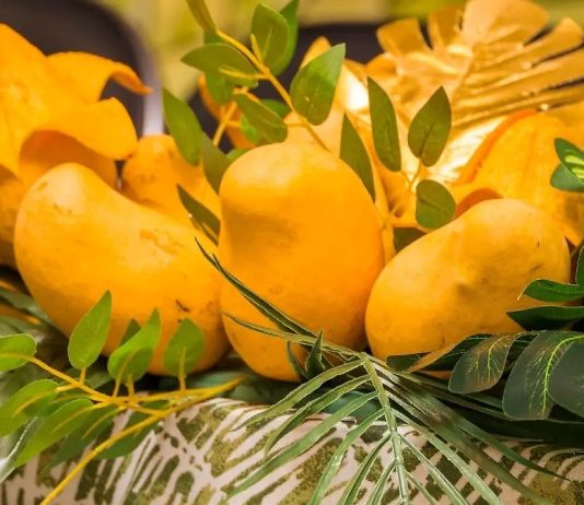 ¡Mucho sabor y tradición! Todo listo para el Festival del Mango en Arroyo Seco
