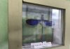 FOTOGALERÍA | Alberga Museo de Bichos más de 33 mil especies en Querétaro, ¿Te animas a visitarlo?