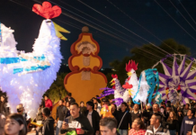 Encabeza el tradicional Recorrido del Gallo las Fiestas Patronales de Santa Ana