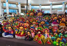 Inicia la sexta edición de Pasaporte Querétaro: Semidesierto y Bosque en el Gómez Morin