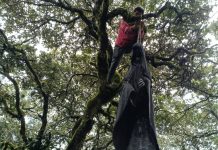 ¿Ya conocías la Exposición de Colgados en el camino al Mirador Cuatro Palos? Si no, aquí te contamos