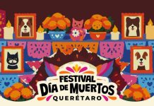 Más de mil 500 mascotas tendrán su propio espacio de recuerdo en el corazón de Querétaro