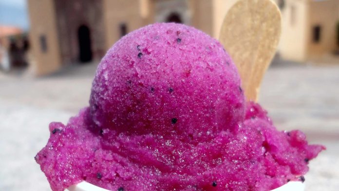 nieve-de-garambullo